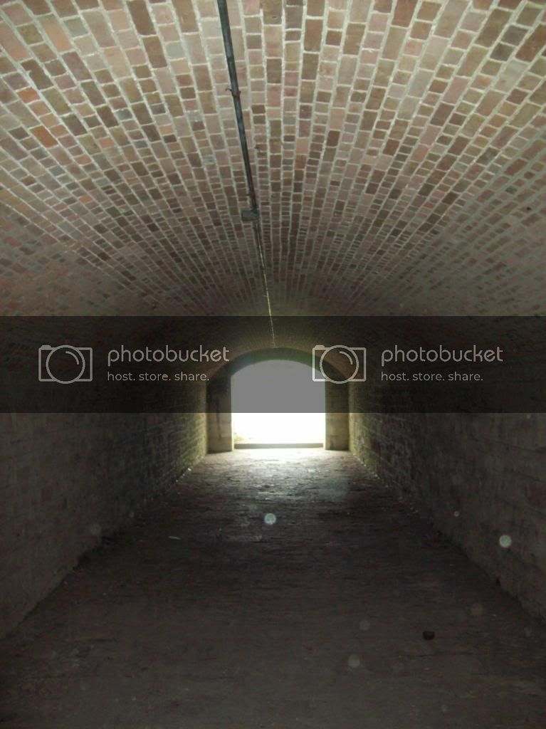 100_5151_zps3b9fabad.jpg