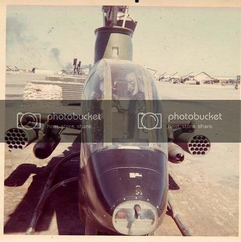 334thcobra3.jpg