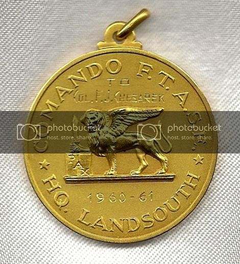 Landsouthmedal-front_zps38f2ac0d.jpg