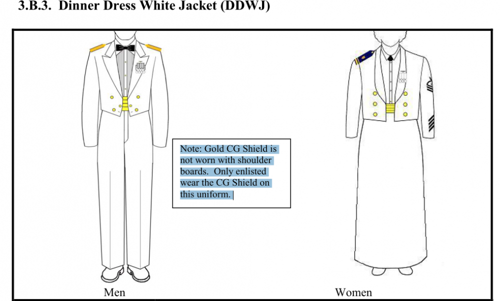 white christmas dresses Coast Guard Women's Dinner Dress Blue Uniform Set – Nate Woodard main image 1