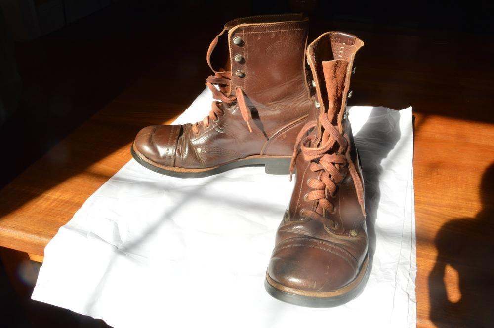 endicott johnson boots