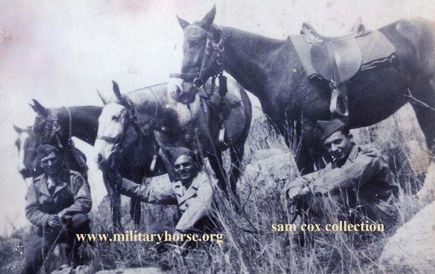 WW2 Ft Riley,1944, Troop i,129th Cav Sqn (horse) - EPHEMERA ...