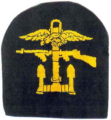 Unit patch identification? - ARMY AND USAAF - U.S. Militaria Forum