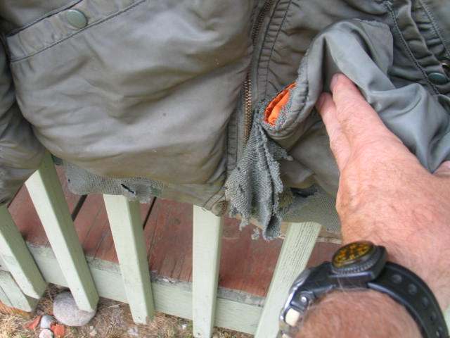 post-153915-0-99621700-1529779764_thumb.jpg