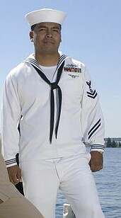 The new Navy Working Uniform - CAMOUFLAGE UNIFORMS - U.S. Militaria Forum