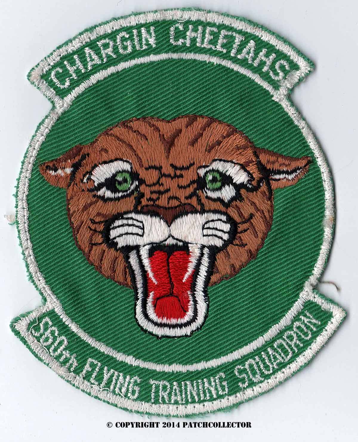 A USAF 560th 