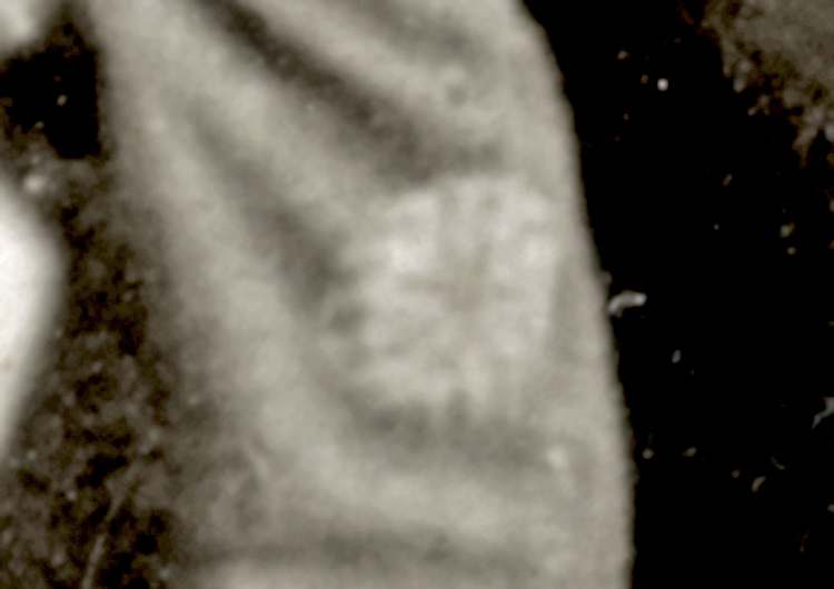 post-5143-0-42282000-1569596726_thumb.jpg