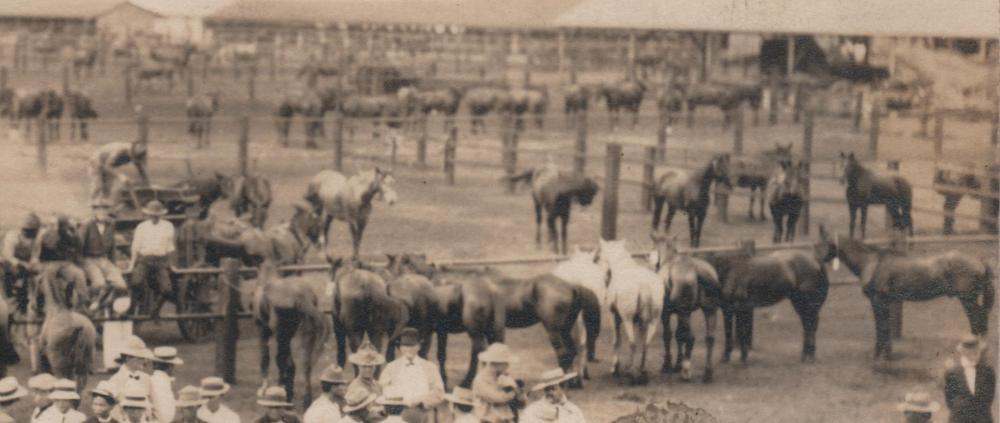 4th US Cavalry corral Schofield Barracks 1916 002.jpg