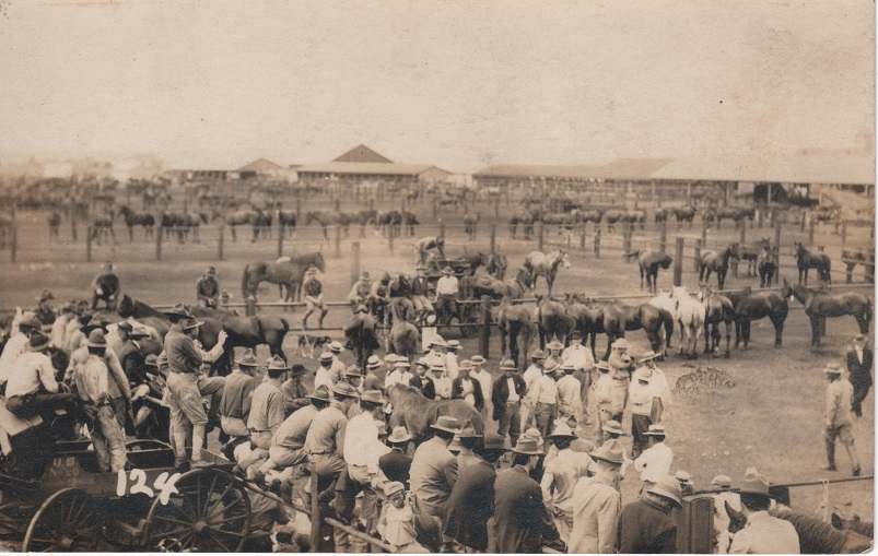 4th US Cavalry corral Schofield Barracks 1916 004.jpg