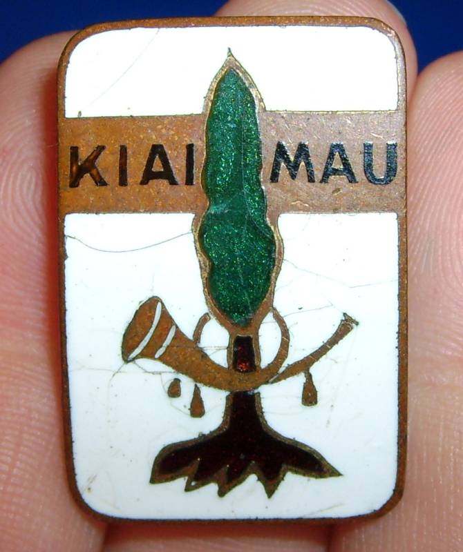 21st Infantry Brigade SB NSM 01 lg.jpg