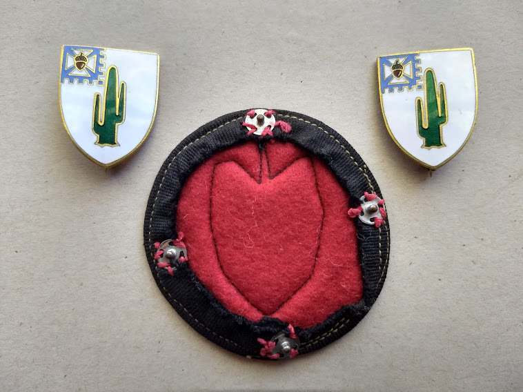 1982244138_WilsonCOLErleInsigniafront.jpg.75528eb4aa40b4316b6fb3c0230f7ba6.jpg