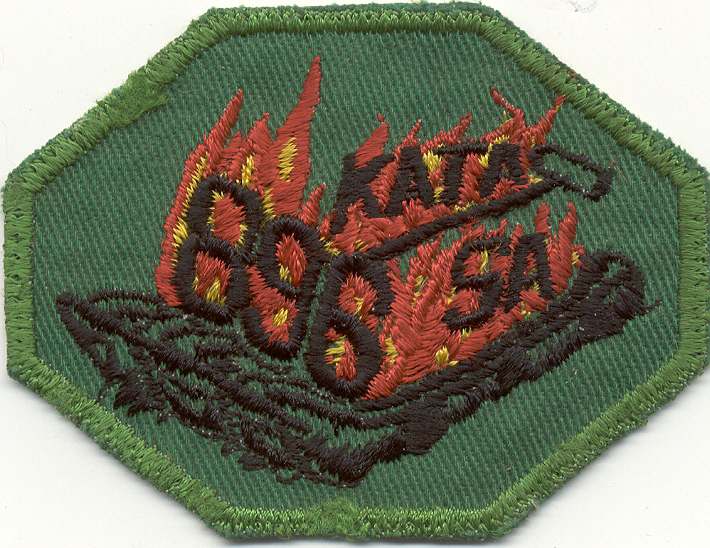 Not so-common Engineer Patches - ARMY AND USAAF - U.S. Militaria Forum