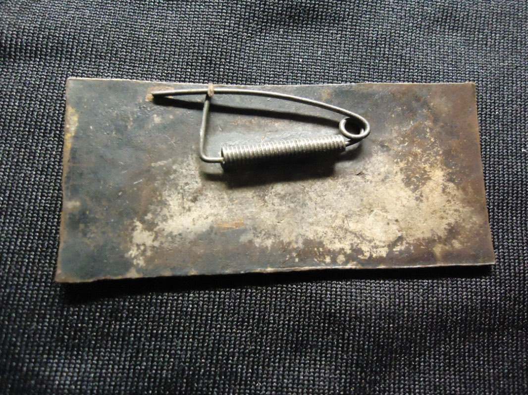 OSS Chinese Jump Wings Opinions Needed? Page 2 AIRBORNE, GLIDER