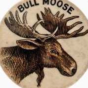 Bull Moose