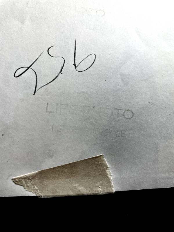 Original Peter Stackpole LIFE magazine silver gelatin print of WASP ...