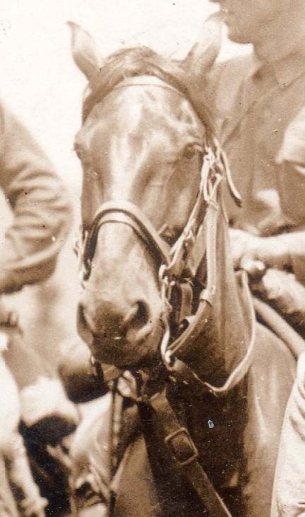 1366582378_4thCavalry005a.jpg.394ee66c2219b972853b518207977b93.jpg