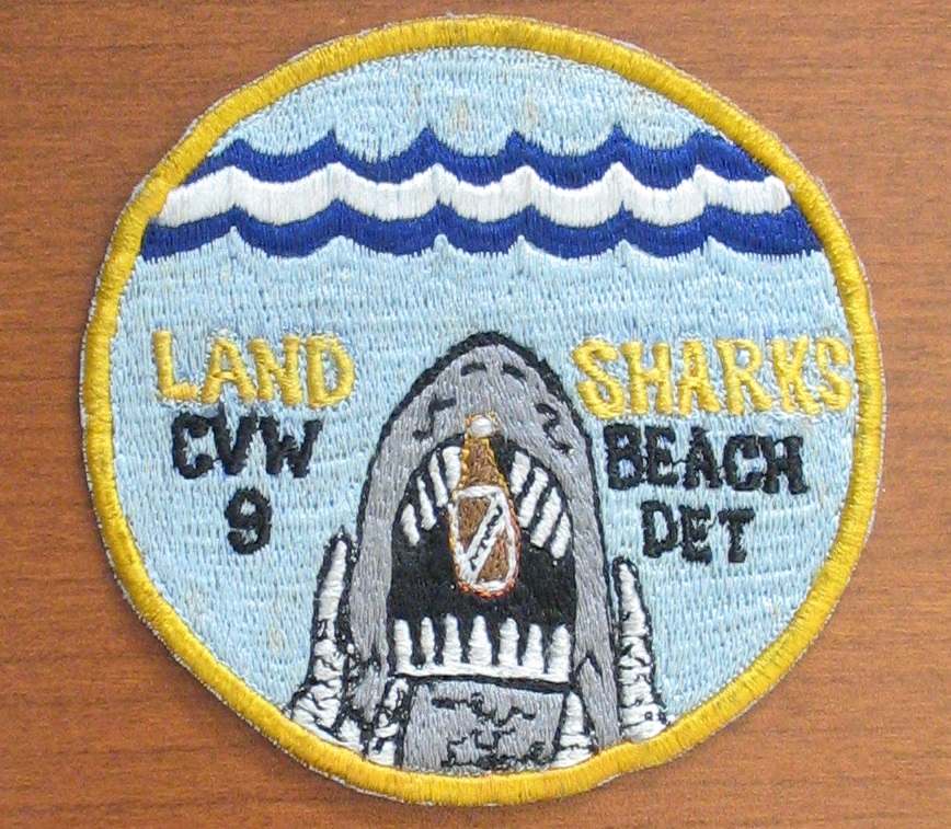 404276261_CVW9BEACHDETACHMENTLANDSHARKS001.jpg.d48a226da34f01be537827f4f422663f.jpg