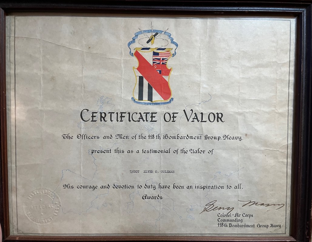 Lucky Bastard Club Certificates Page 3 WING BADGES U.S. Militaria