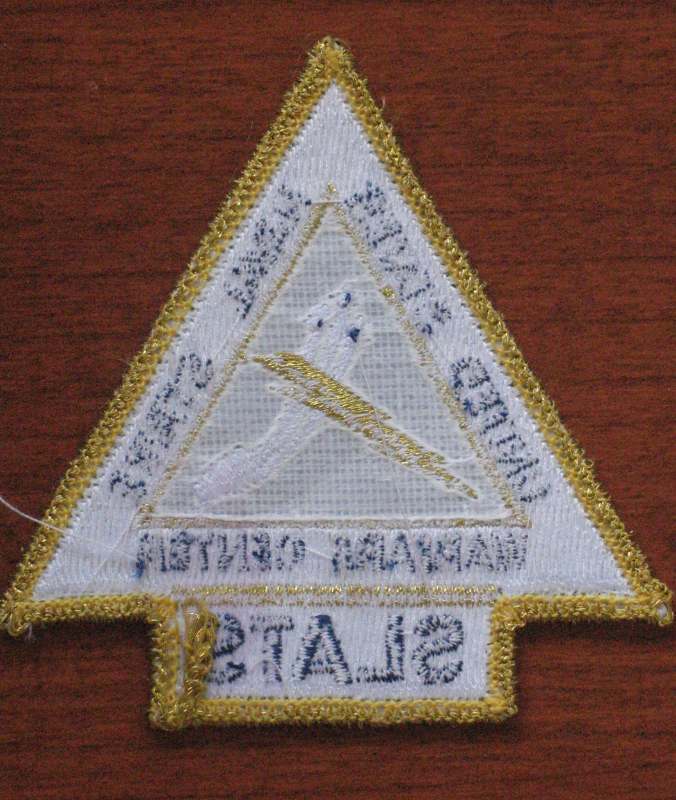 1640089093_UnitedStatesNavalStrikeWarfareCenterSLATS002.JPG.76d6c3d2ca9b5efd9f601072d581c5d1.JPG