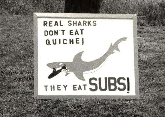 06VP6BLUESHARKS004.jpeg.659f52f20d78428ec0858f06d92f09a4.jpeg