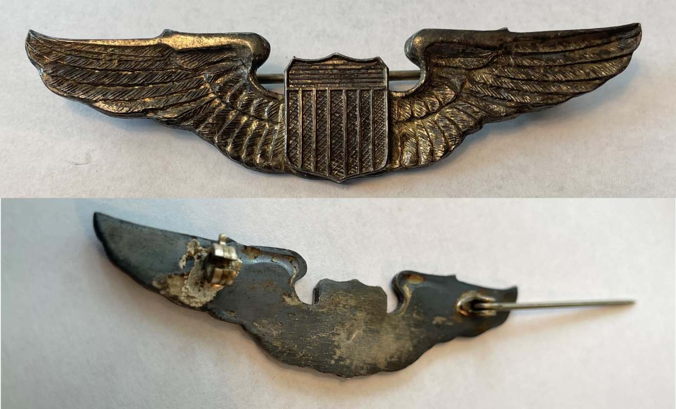 Wings.jpg.30268c1fd7096a7c03f0682da0992f5a.jpg
