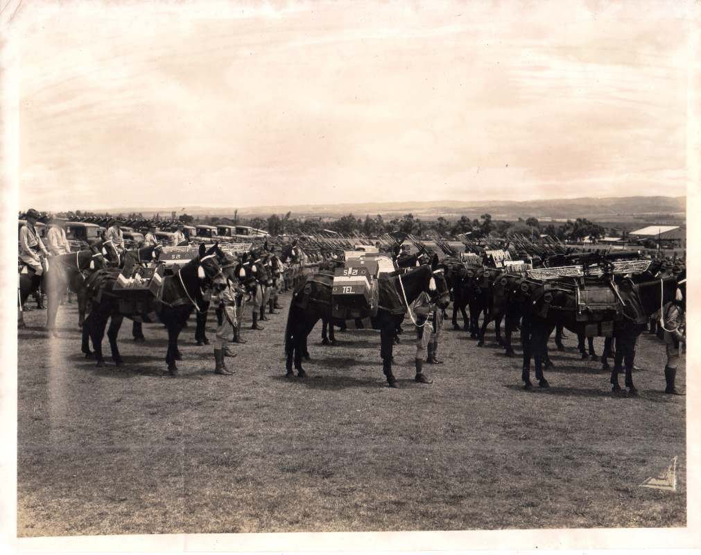 21stInfantry1937011.jpg.90cb1938665a2ce44d6df2f40af14c14.jpg