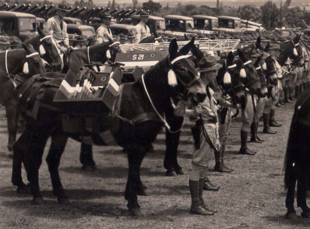 21stInfantry1937012a.jpg.dd5394ac223c2a65c271255e2edffe3f.jpg