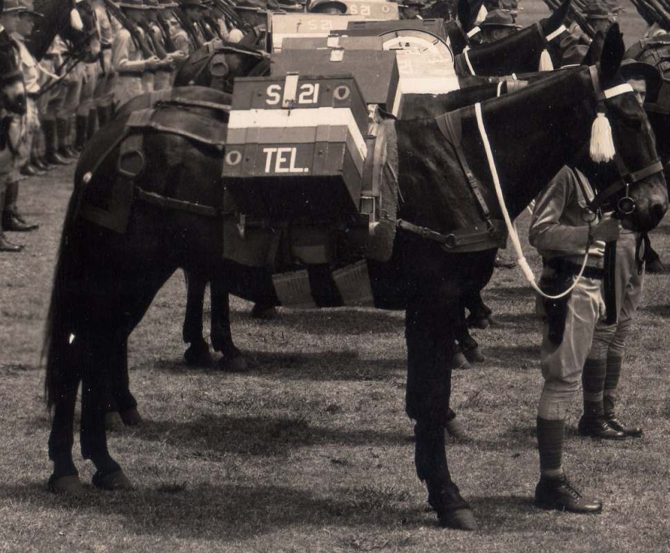 21stInfantry1937012bb.jpg.32b6a4b4248aed300f9bf591cc6721fc.jpg