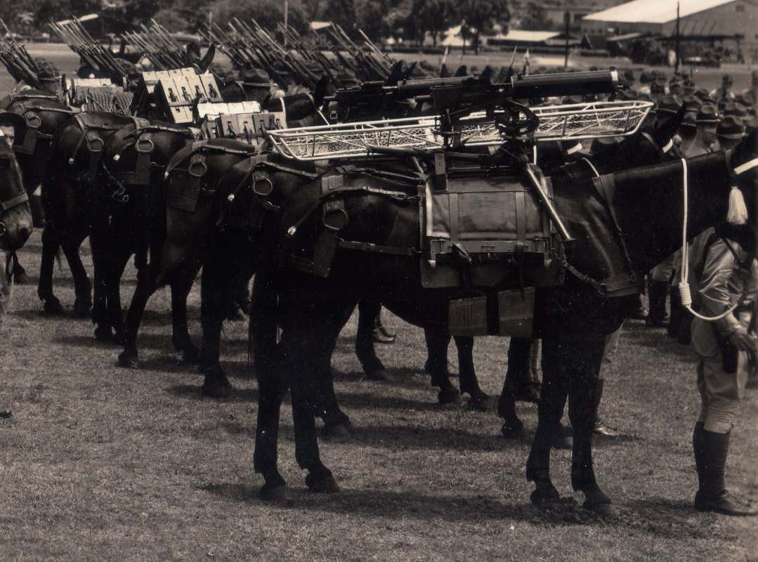 21stInfantry1937012c.jpg.754b563eb757a4bd72068666ed3ff3ea.jpg