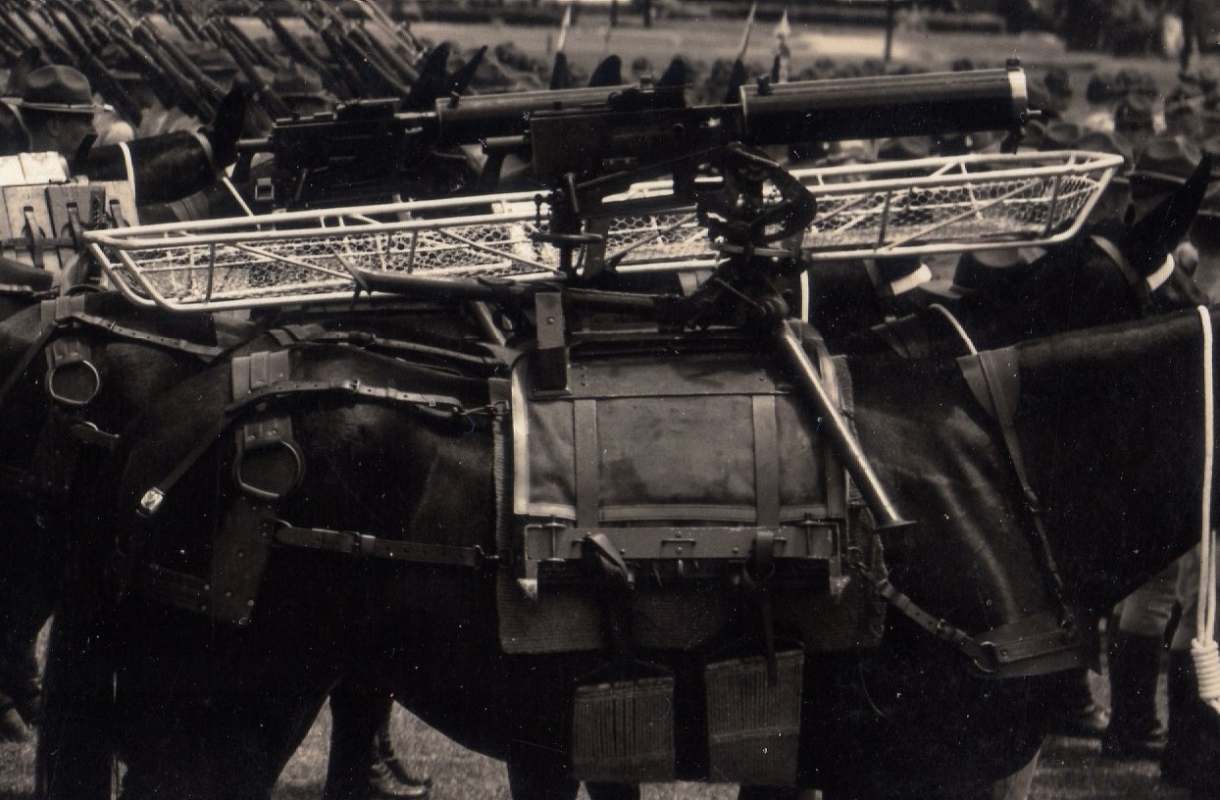 21stInfantry1937012cc.jpg.9e962862dc0dc9202b7935ebf64cf1d4.jpg
