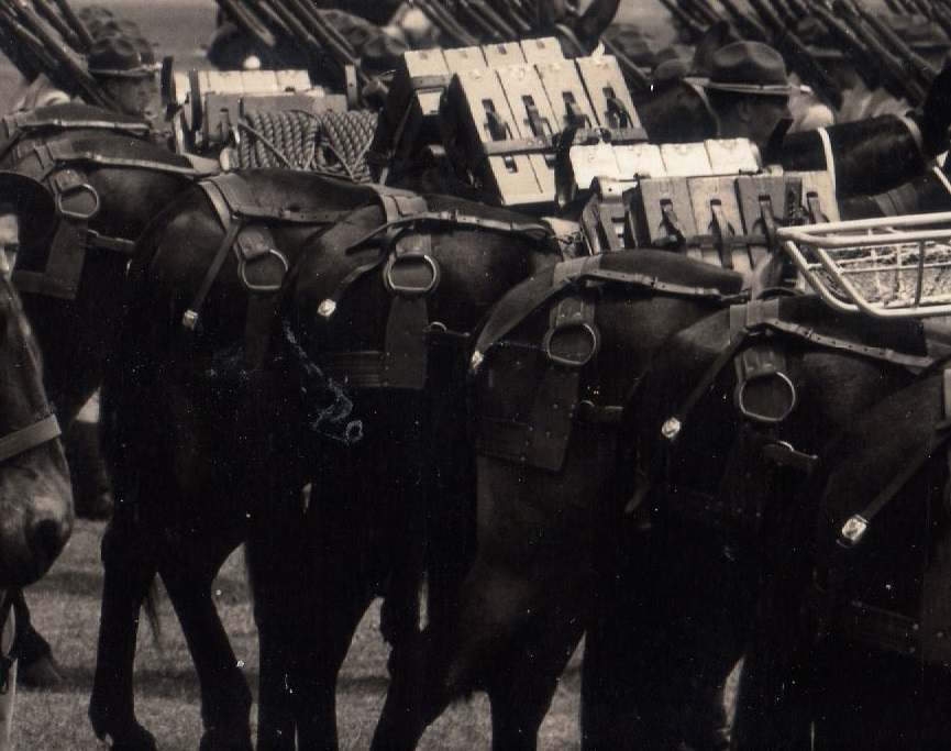 21stInfantry1937012ccc.jpg.9ad5b24835d4c5f2728337f4076a05b1.jpg