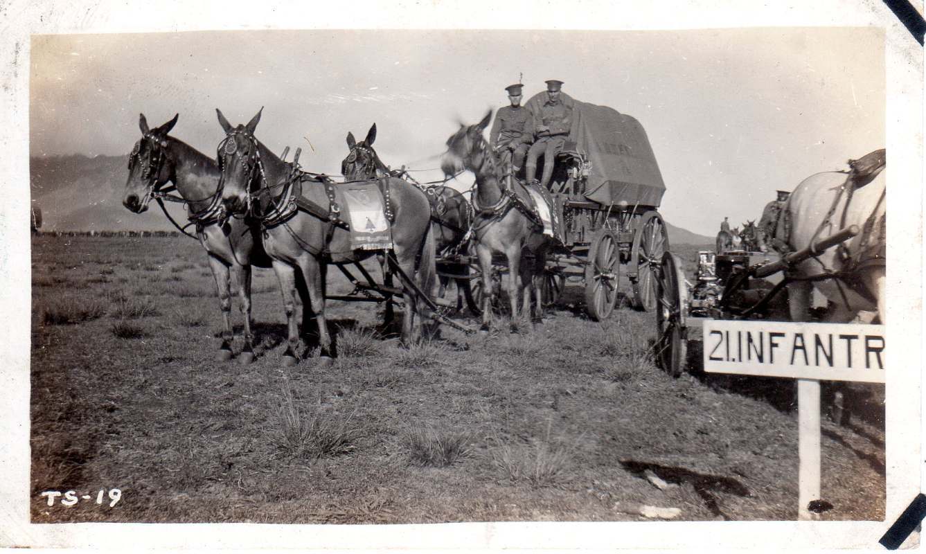 21stInfantryPackTrain001.jpg.41a2f5ea9cd05205e52e2265f4cd95d6.jpg