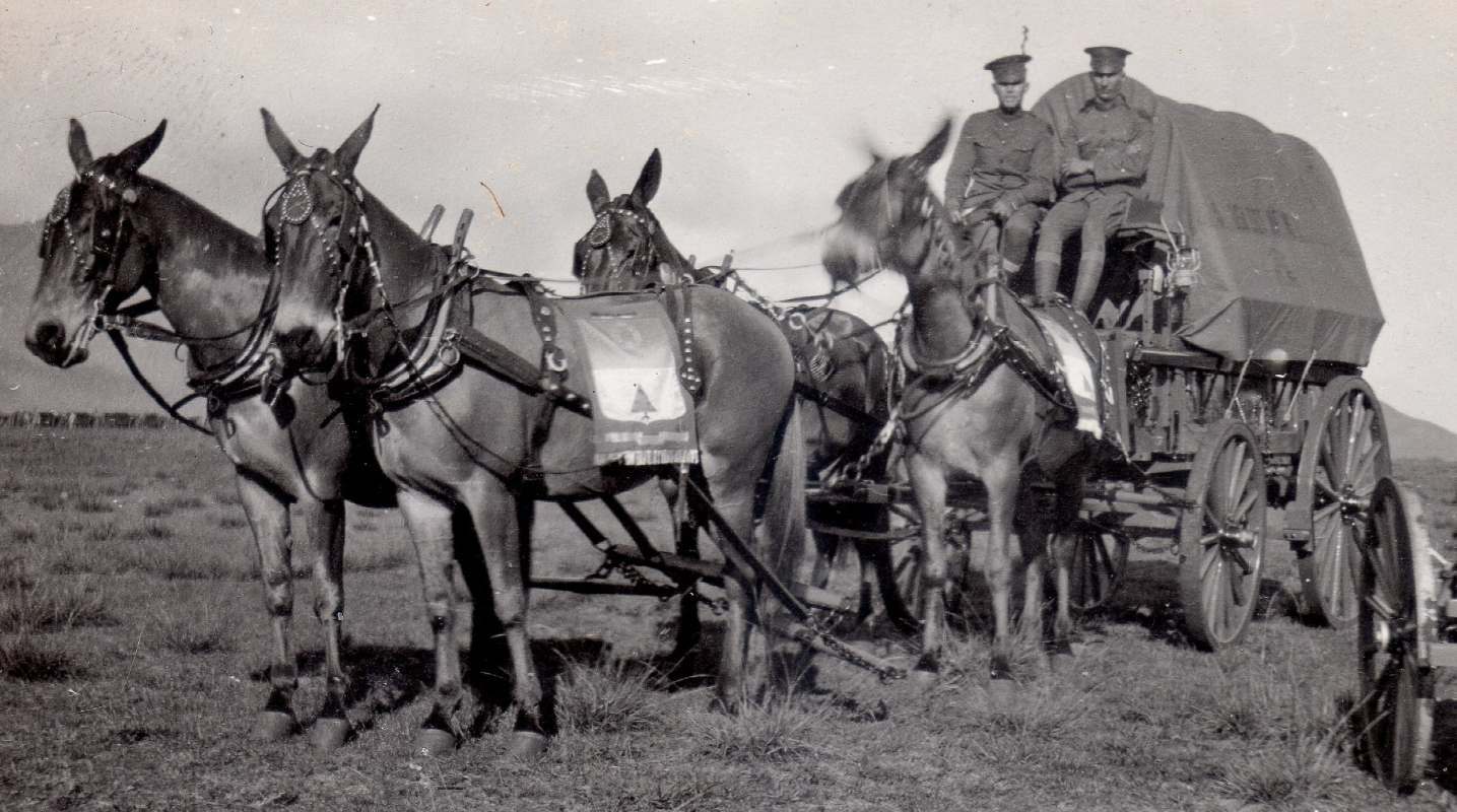 21stInfantrywagon009b.jpg.cc77c25e9038f362ae711e576975b2ac.jpg