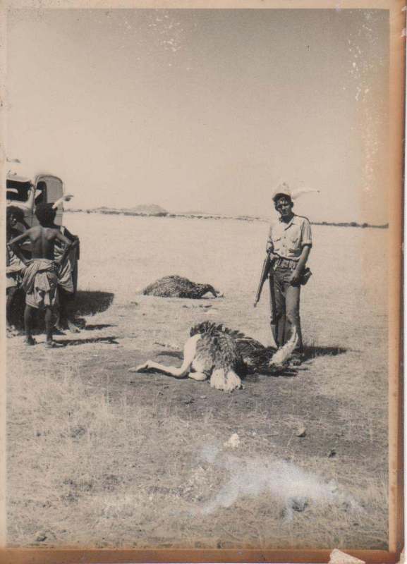 NAVCOMSTAASMARAETHIOPIA004.jpg.eef9996310ee66a92b49d9df0da1e06b.jpg