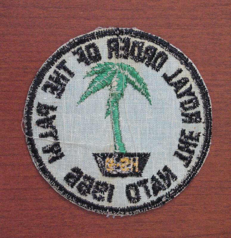 HS9004NATOROYALORDEROFTHEPALM1966.JPG.38457706b8e6407ec55761be7b8664a0.JPG