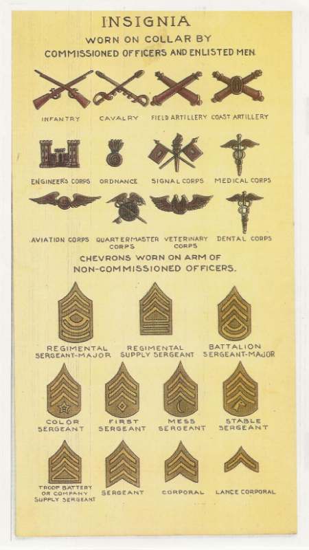 USNavyArmyInsignia07.jpg.ff3a0c3e00af76cb625a5f08453313aa.jpg