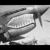 P-40Warhawk