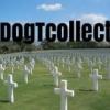 DogTCollect